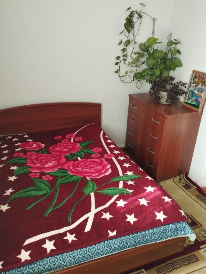 Guest House Sono Adress Derbisheva 202 Karakol Exterior photo
